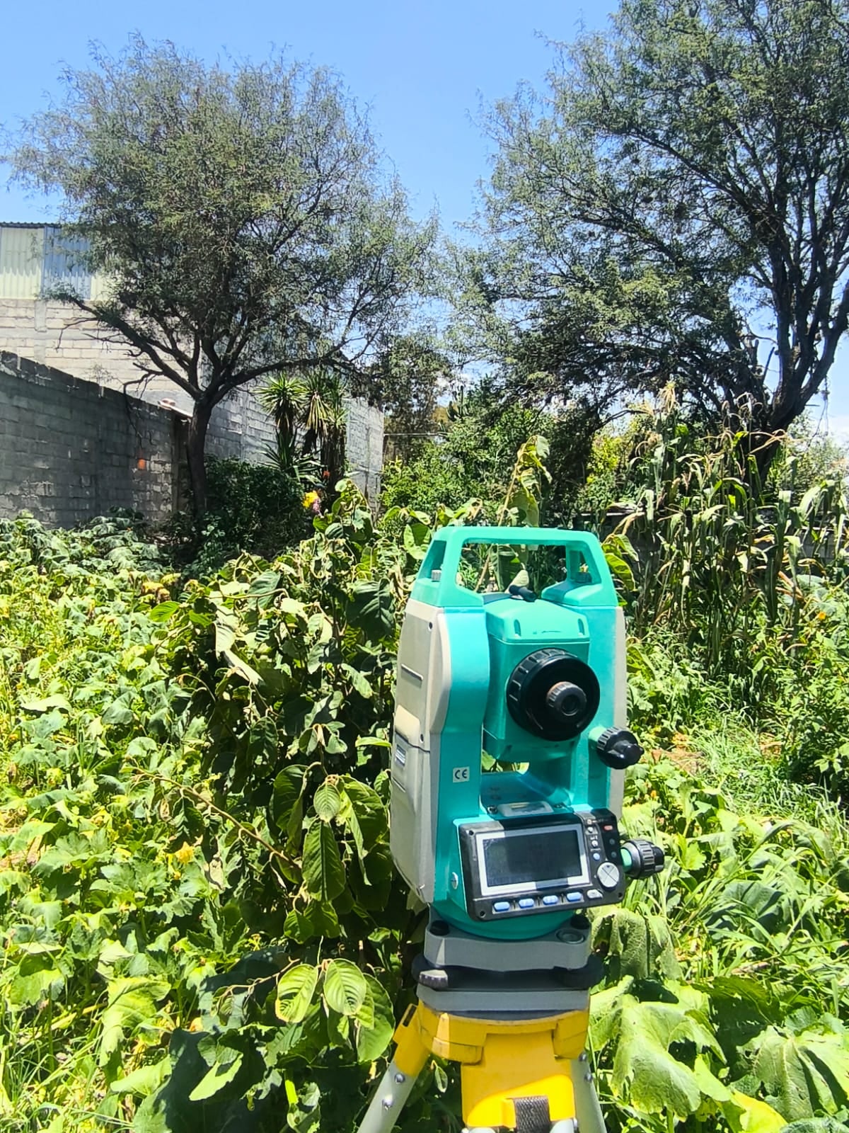 Estación total entre la maleza de un terreno sin limpiar